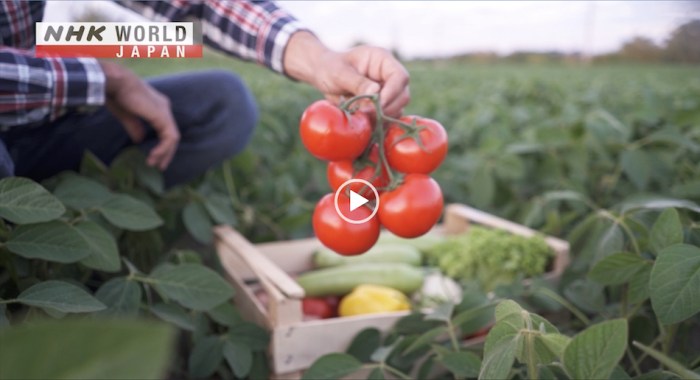 Farm-to-table cooking trends